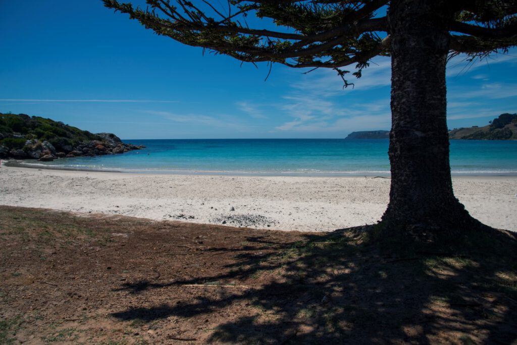 Boat Harbour Beach, Tasmania