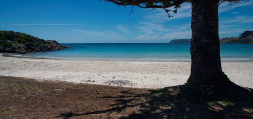 Boat Harbour Beach, Tasmania