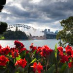 Giardini botanici di Sydney