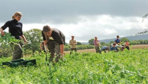 lavoro stagionale