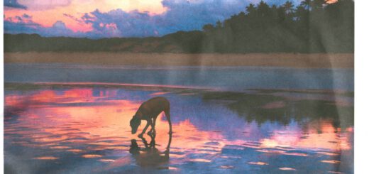 Kimberley Moment nel Broome Advertiser, 20 feb 2014