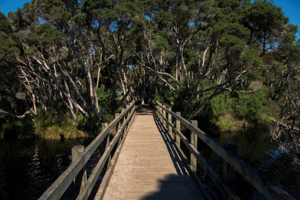 Sisters Beach, Tasmania