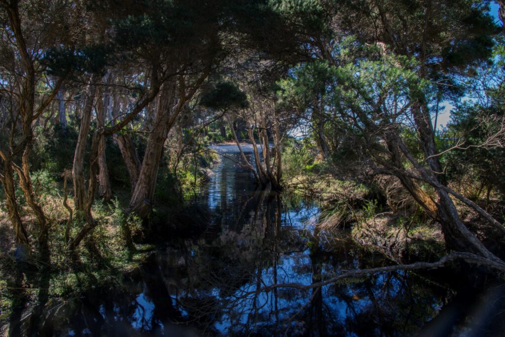 Sisters Beach, Tasmania