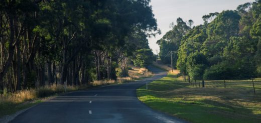 Bass Highway Tasmania