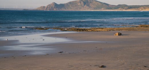 Green Point, Marrawah