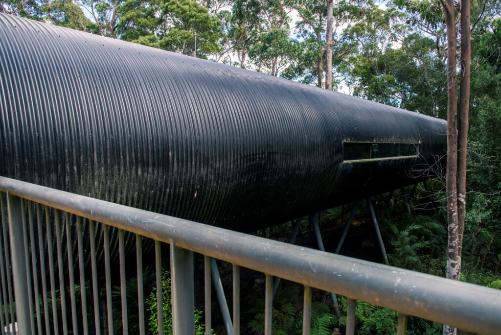 Dismal Swamp, Tasmania