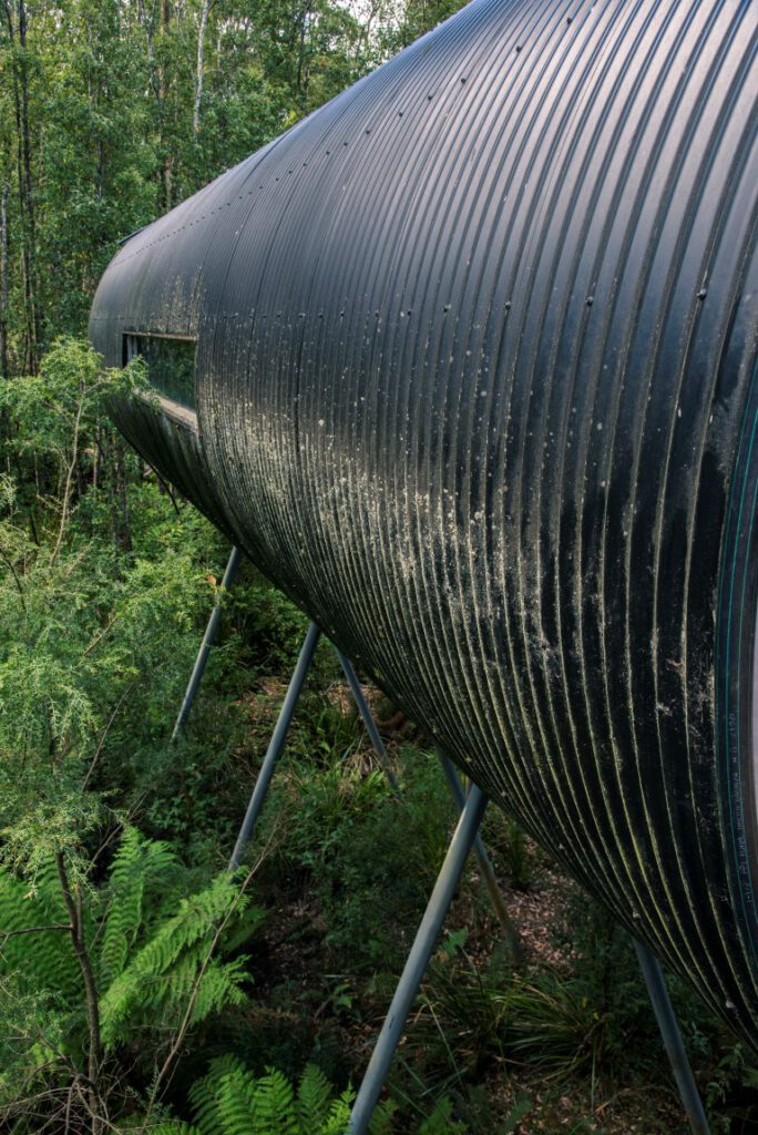 Dismal Swamp, Tasmania