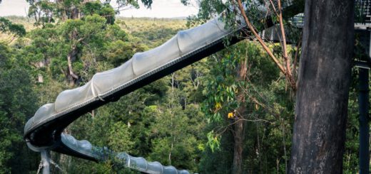 Dismal Swamp, Tasmania