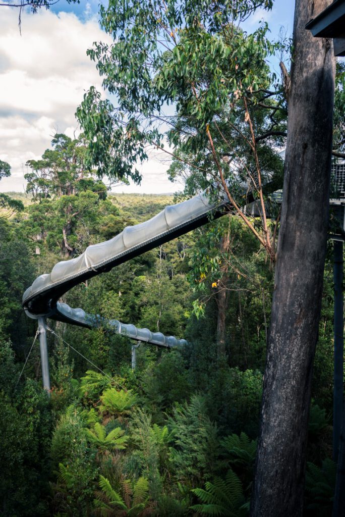 Dismal Swamp, Tasmania