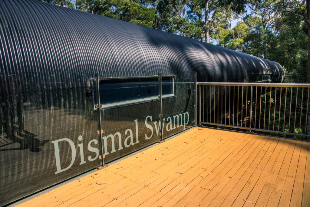 Dismal Swamp, Tasmania