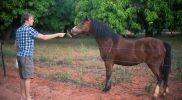 Mango Place, 12 Mile, Broome