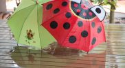 Umbrellas