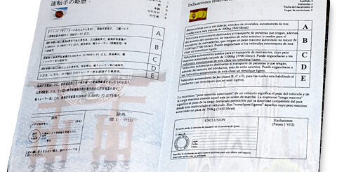 international driving permit (patente internazionale)