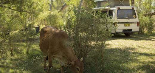 De Grey River Rest Area