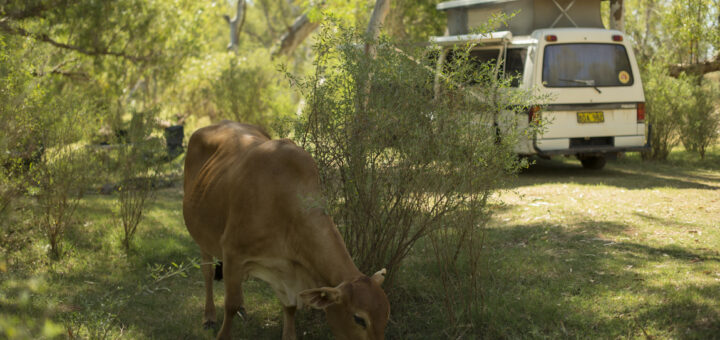 De Grey River Rest Area