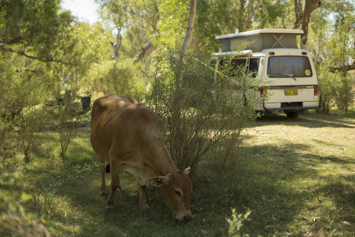 De Grey River Rest Area