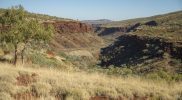 Albert Henry Tognolini Lookout