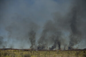 Great Northern Highway Bush Fire